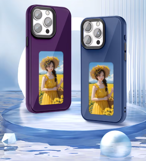 Capture d’écran 2025-03-24 115440 COQUE