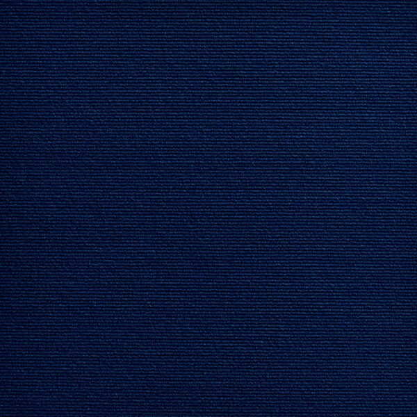 深蓝色1 Tapis pour chat